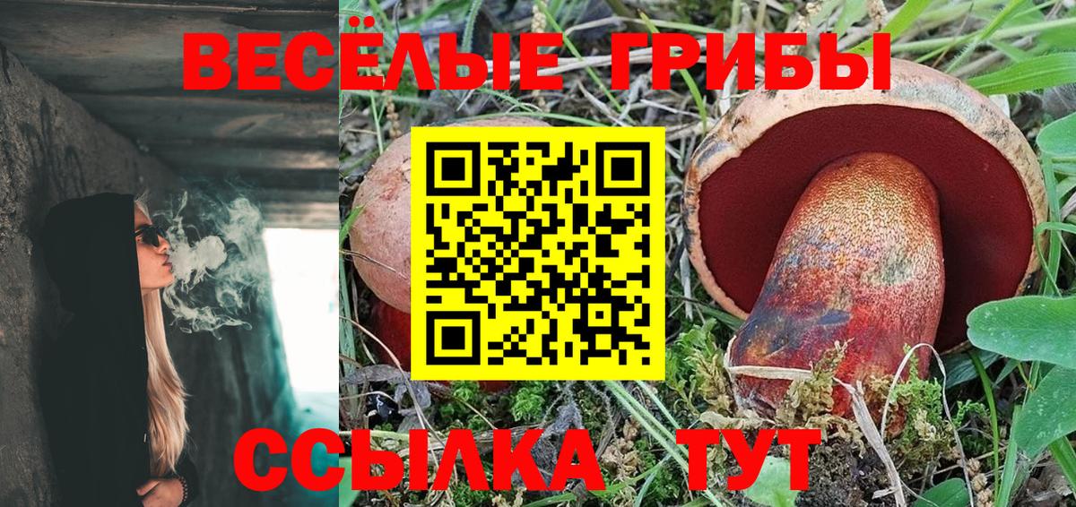 Псилоцибиновые грибы Psilocybine cubensis Домодедово